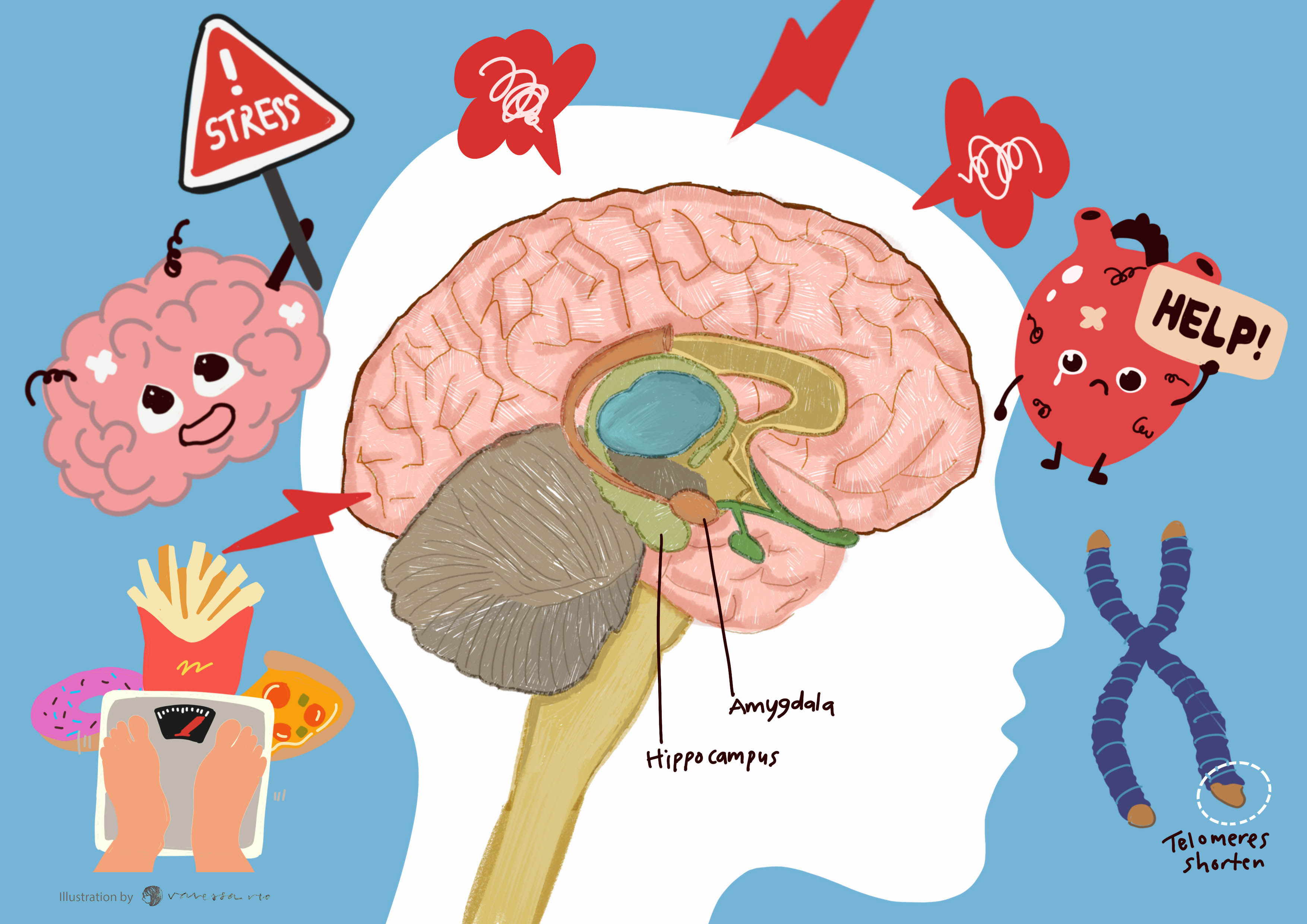 Is stress affected our health?